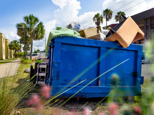 Yard Cleanup Services in Lufkin, TX